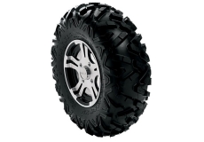 Maxxis® Bighorn 2.0 Tire 26X9XR12 - Front