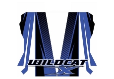 Cat Wraps Roof Decal - Viper Blue