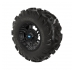 Pro Armor Attack Tire With Buckle Wheel- Matte Black