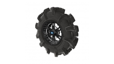 Pro Armor Anarchy Tire With Buckle Wheel- Accent