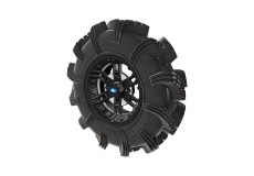 Pro Armor Anarchy Tire With Buckle Wheel- Accent