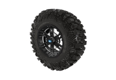 Pro Armor Crawler XR Tire With Buckle Wheel- Accent