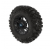 Pro Armor Crawler XR Tire With Buckle Wheel- Matte Black