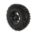 Pro Armor Crawler XG Tire With Buckle Wheel- Matte Black