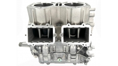Двигатель всборе Rotax 850 E-TEC