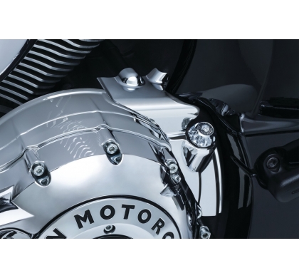 Rear Oil Panel Accent Rear Oil Panel Accent