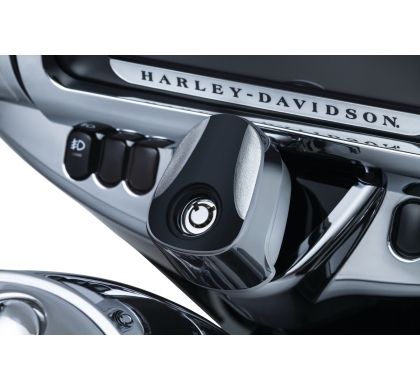 Sculpted Ignition Switch Covers