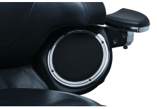 Rear Speaker Accents