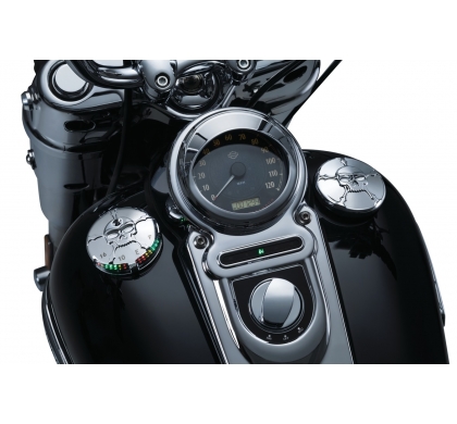 Zombie L.E.D. Fuel & Battery Gauge Zombie L.E.D. Fuel & Battery Gauge