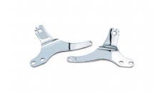 Multi-Purpose Driver & Passenger Backrest