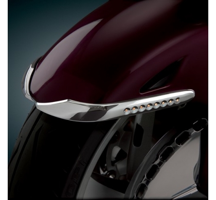 LED FRONT FENDER ACCENT