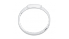 Gauge Visor Ring