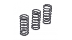 Milwaukee-Eight Engine Clutch Springs - 1275N