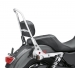 One-Piece H-D Detachables Sissy Bar Upright
