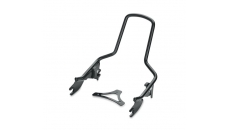 H-D Detachables Sissy Bar Upright