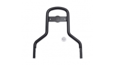 Low Mini-Medallion Style Sissy Bar Upright