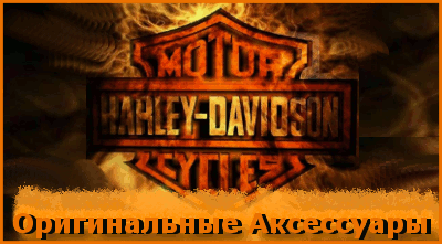 HARLEY DAVIDSON ACCESORIES